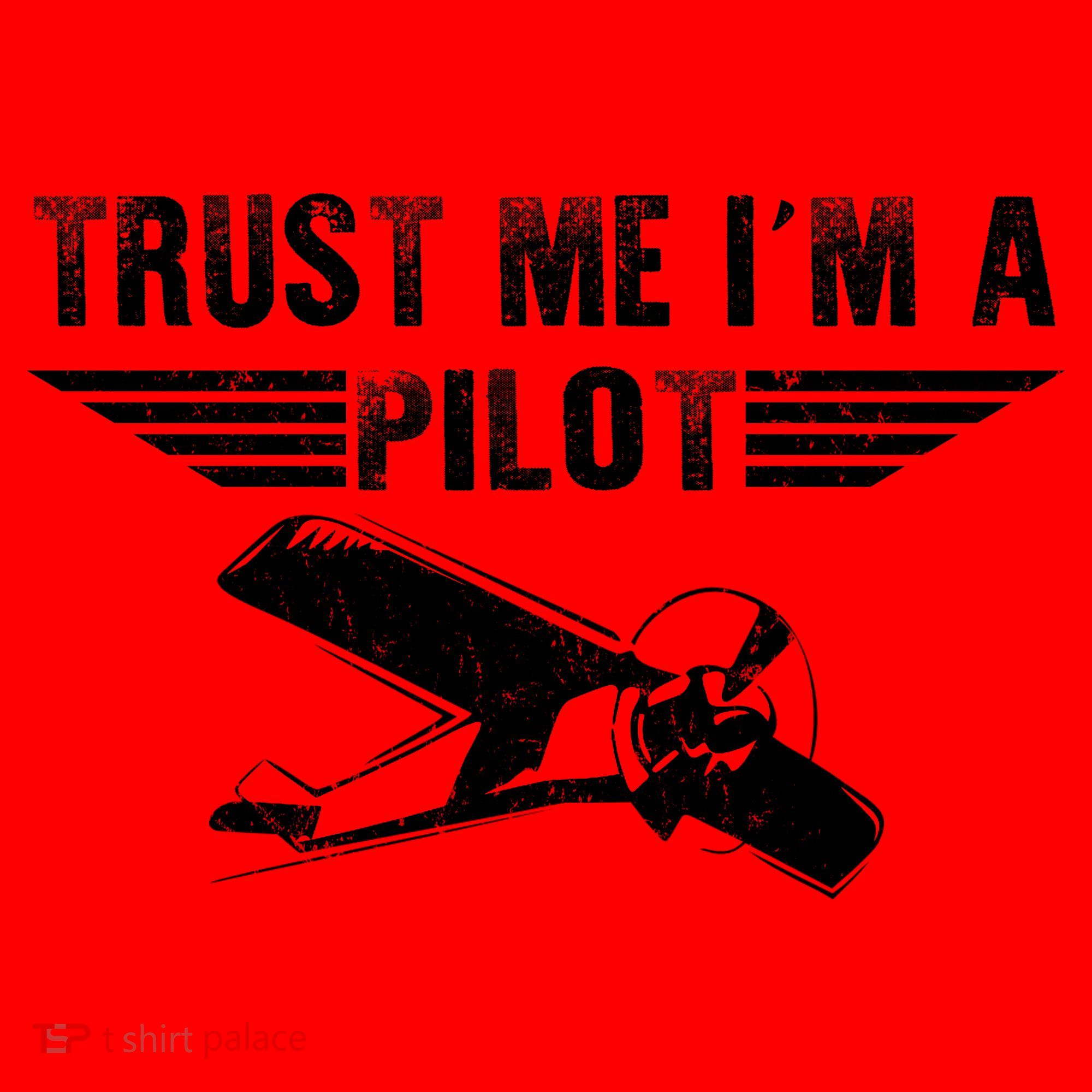 Trust Me Im A Pilot Santa Hat