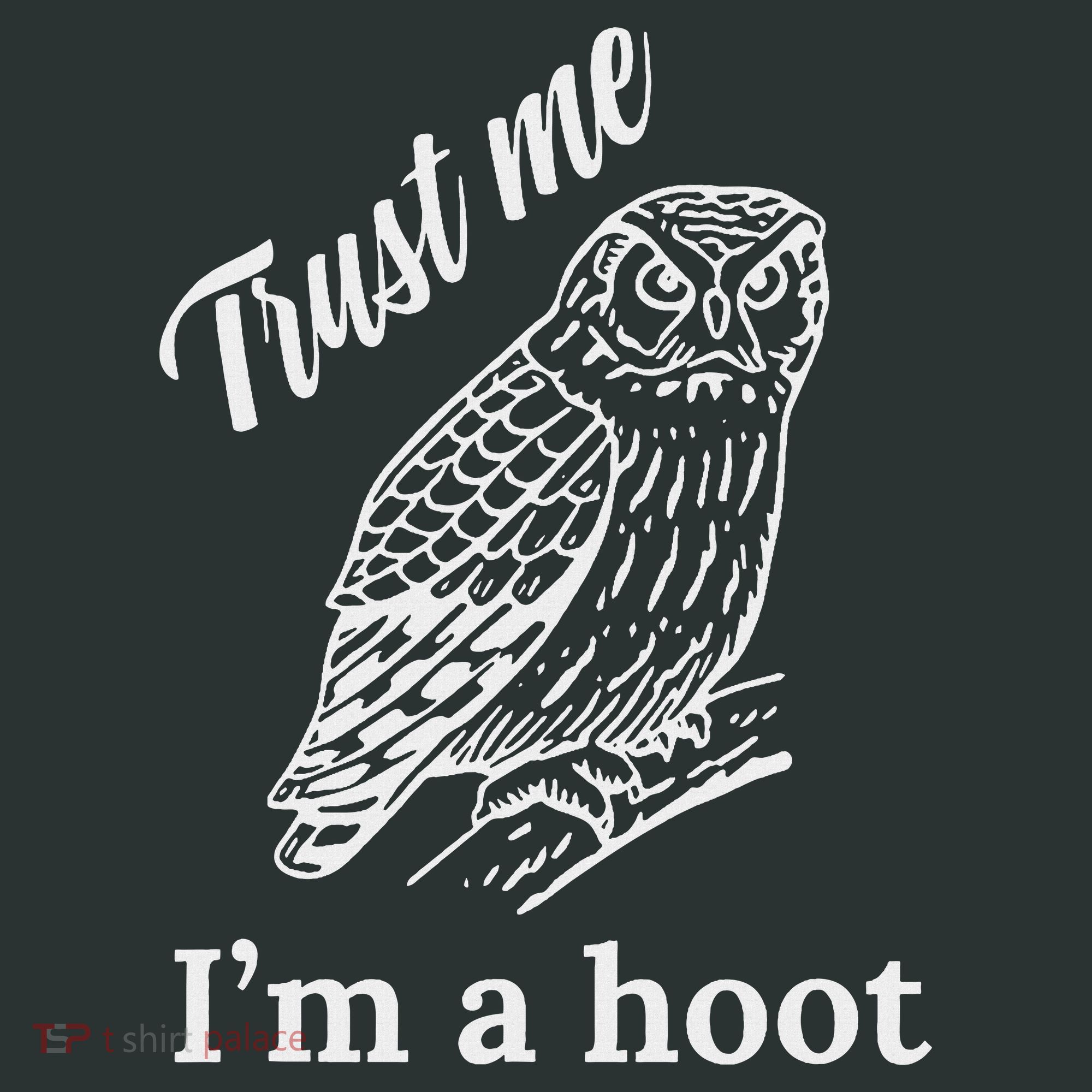 Trust Me I'm A Hoot Funny Owl  Infant Baby Jersey Bodysuit