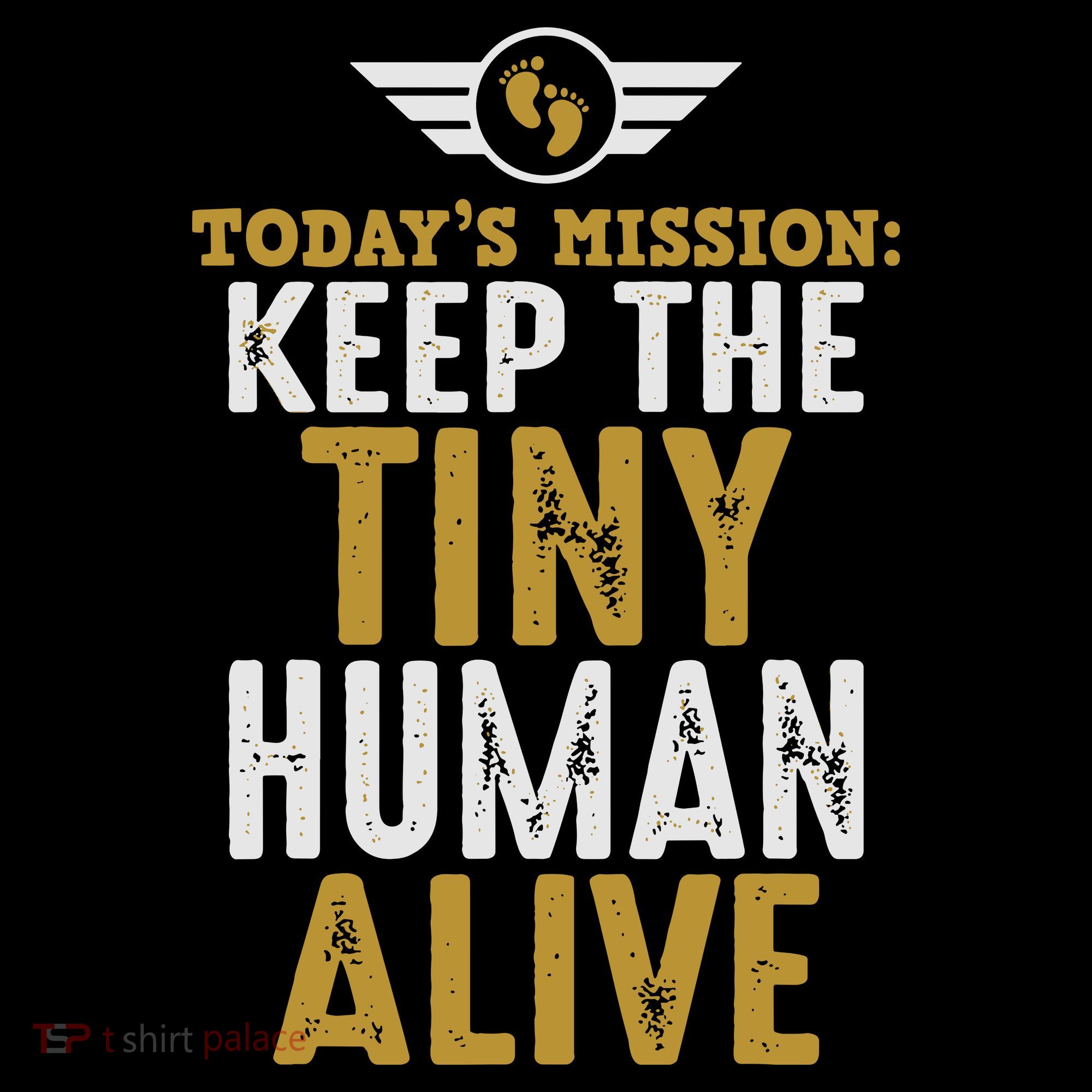 Today’s Mission Keep The Tiny Human Alive Proud New Father Women's Hoodie