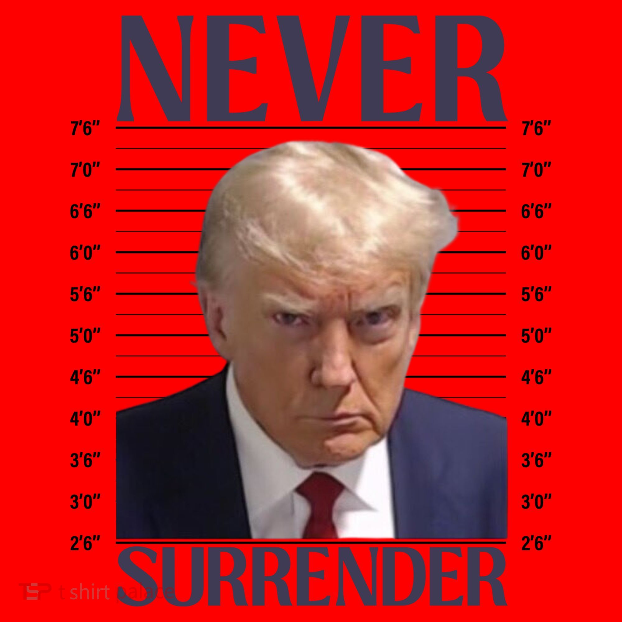 Trump Mugshot Meme Santa Hat