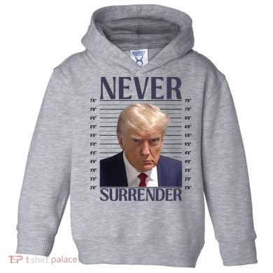 Trump Mugshot Meme Toddler Hoodie