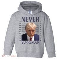 Trump Mugshot Meme Toddler Hoodie thumb 0
