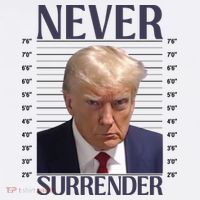 Trump Mugshot Meme T-Shirt thumb 7