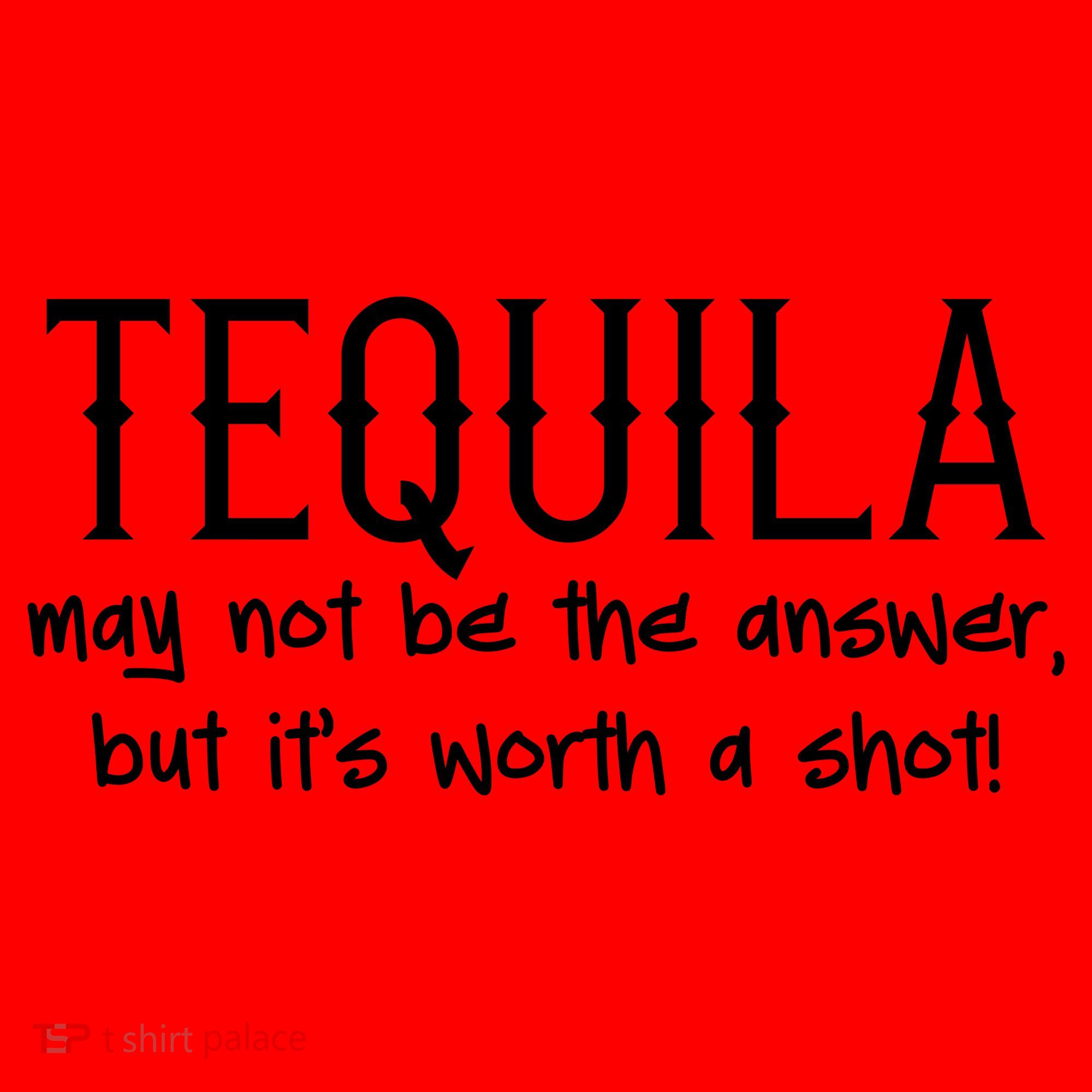 Tequila May Not Be The Answer, But Its Wirth A Shot Cinco De Mayo Santa Hat