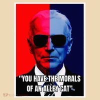 The Morals Of An Alley Cat Tote Bag thumb 4