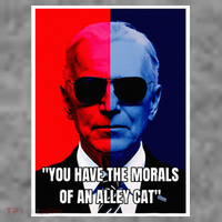 The Morals Of An Alley Cat Toddler Hoodie thumb 2