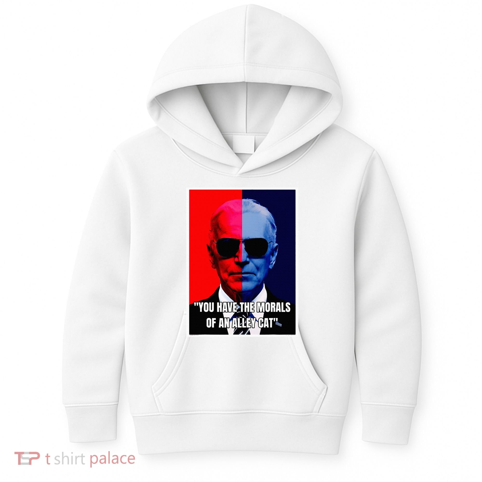 The Morals Of An Alley Cat Kids Hoodie