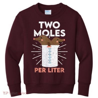 Two Moles Per Liter Funny Chemistry Science Tee Kids Sweatshirt