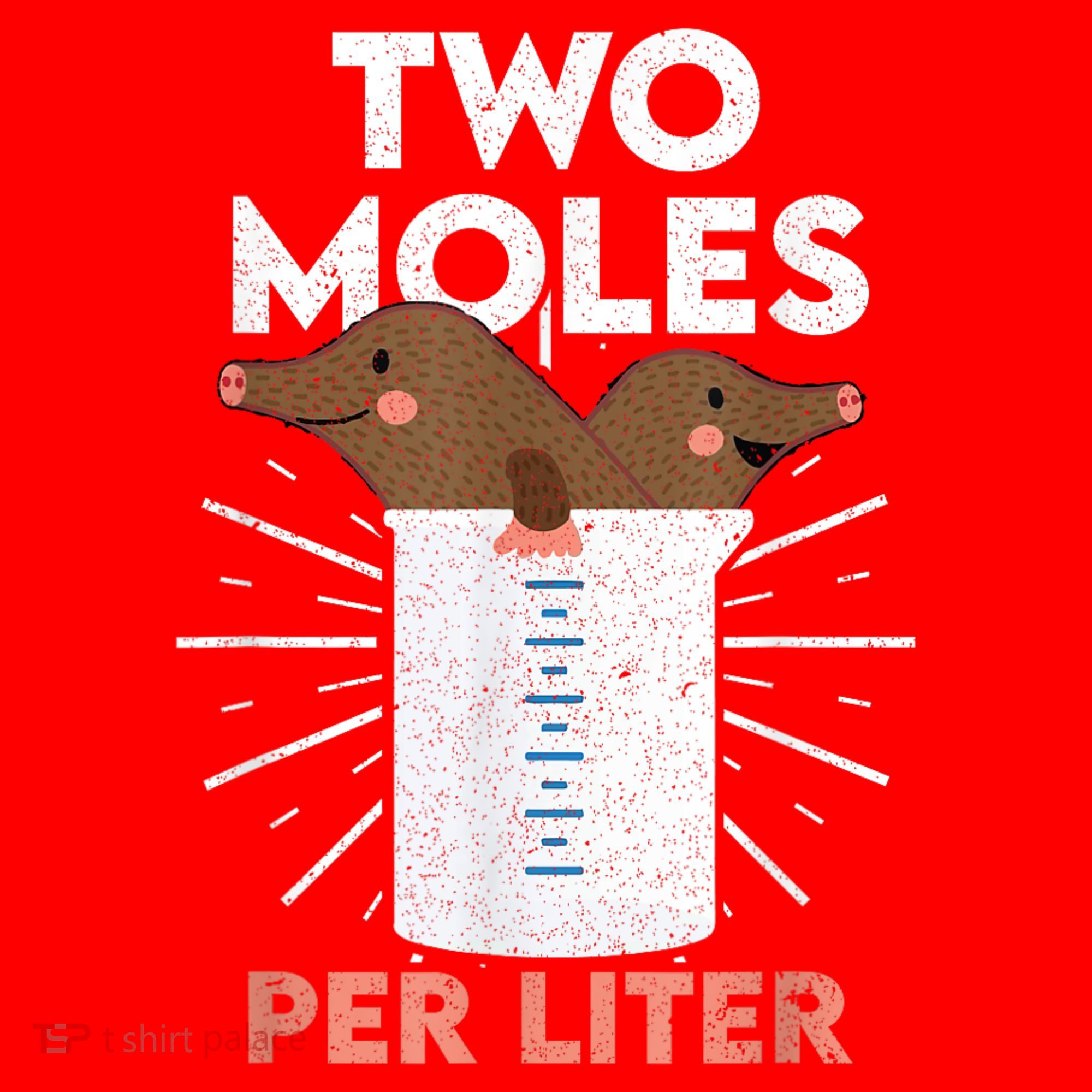 Two Moles Per Liter Funny Chemistry Science Tee Santa Hat