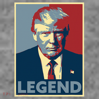 Trump Mugshot Poster The Mugshot Toddler Hoodie thumb 2
