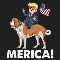 Trump Merica Riding A Saint Bernard Dog Patriotic 4th July Gift Women's Sweatshirt thumb 2