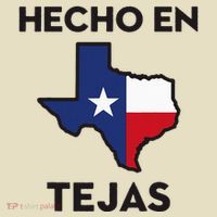 Texan Mexican Roots Hecho En Tejas Mexico Texas American Comfort Colors Boxy T-Shirt thumb 3