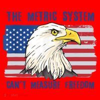 The Metric System Cant Measure Freedom 4th Of July Santa Hat thumb 1