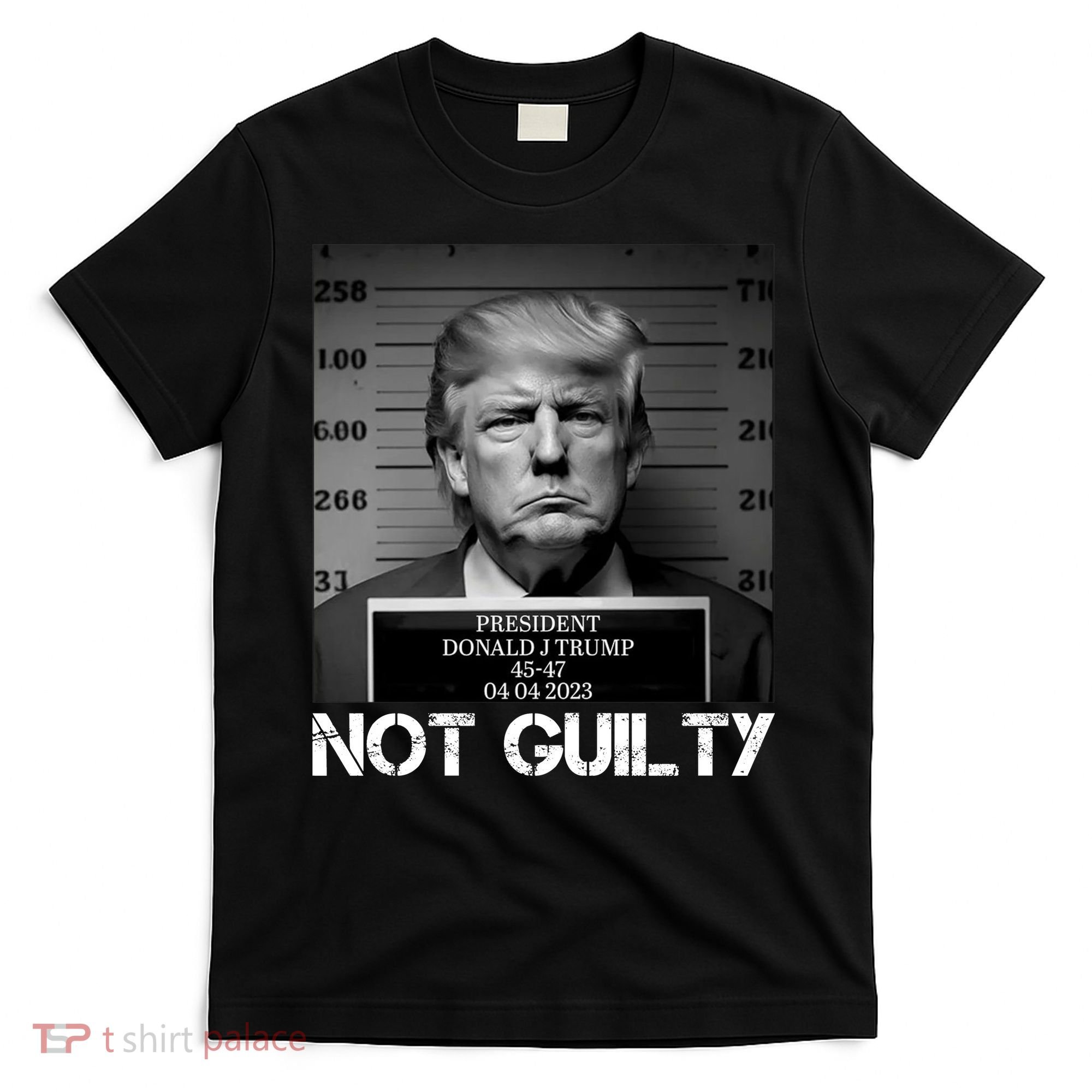 Trump Mug Shot, Trump Not Guilty Pro Trump Supporter T-Shirt