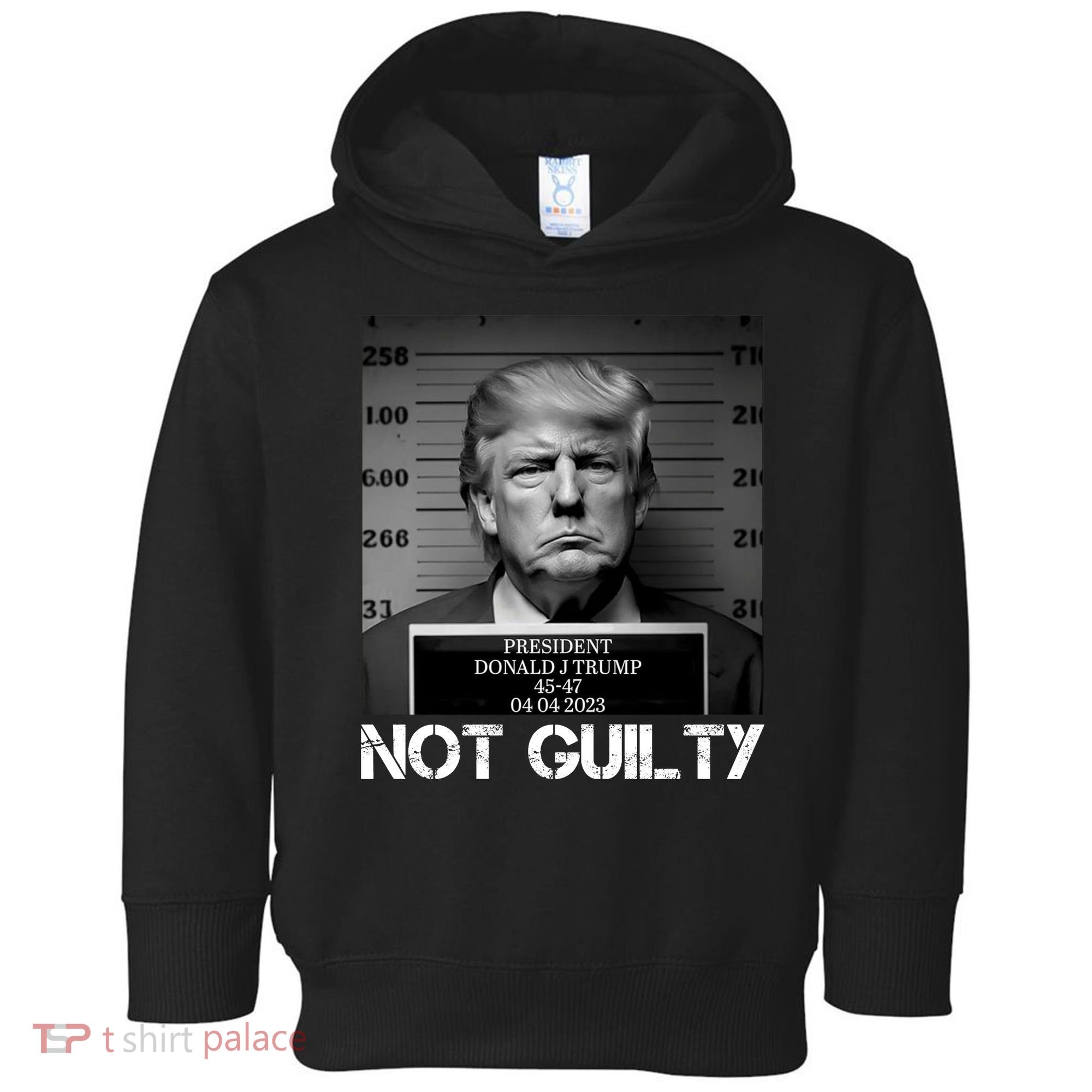 Trump Mug Shot, Trump Not Guilty Pro Trump Supporter Toddler Hoodie