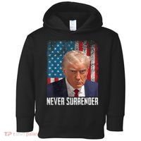 Trump Mug Shot Donald Trump Mug Shot Never Surrender Toddler Hoodie thumb 0
