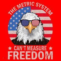 The Metric System CanT Measure Freedom Eagle 4th Of July Santa Hat thumb 1