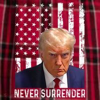Trump Mug Shot Donald Trump Mug Shot Never Surrender Women's Flannel Plaid Pajama Pants thumb 2