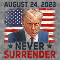 Trump Mug Shot Donald Trump Mug Shot Never Surrender America Flag Toddler Hoodie thumb 2