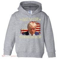 Trump Mug Shot Never Surrender Pro Trump American Flag Toddler Hoodie thumb 0