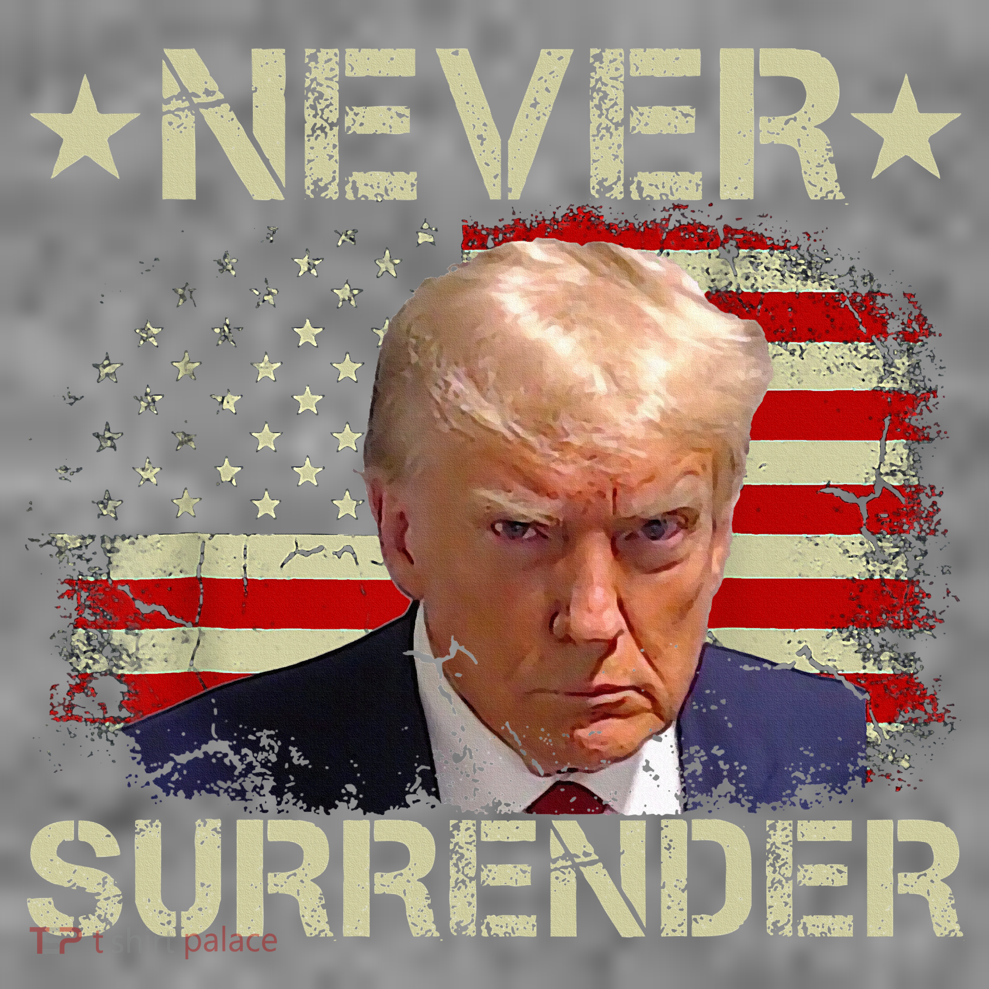Trump Mug Shot Never Surrender Pro Trump American Flag Toddler Hoodie