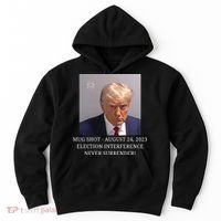 Trump Mug Shot Donald J Trump Mugshot Hoodie thumb 0