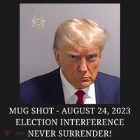 Trump Mug Shot Donald J Trump Mugshot Kids Sweatshirt thumb 2