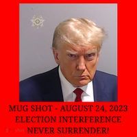 Trump Mug Shot Donald J Trump Mugshot Santa Hat thumb 1