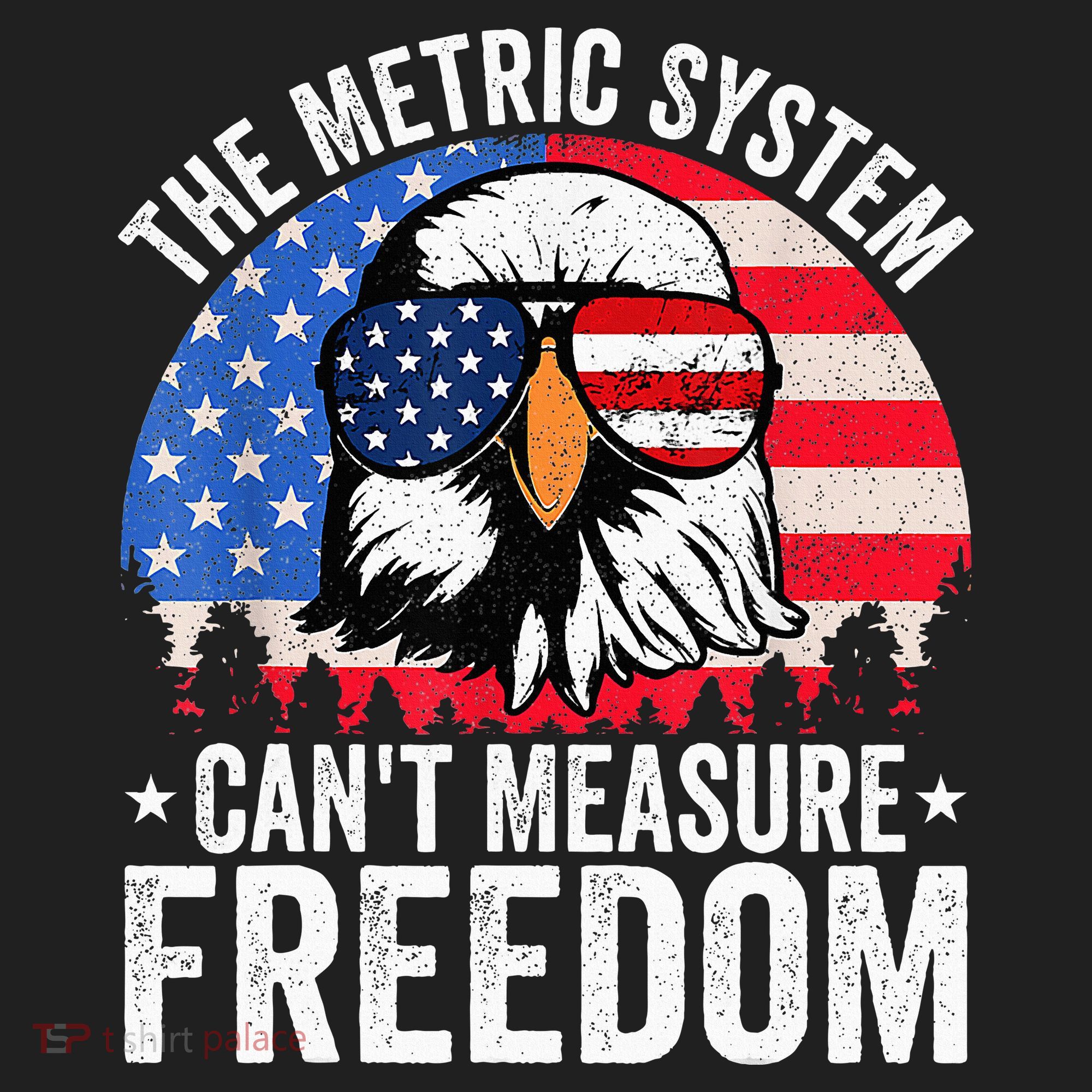 The Metric System CanT Measure Freedom Eagle 4th Of July Beanie