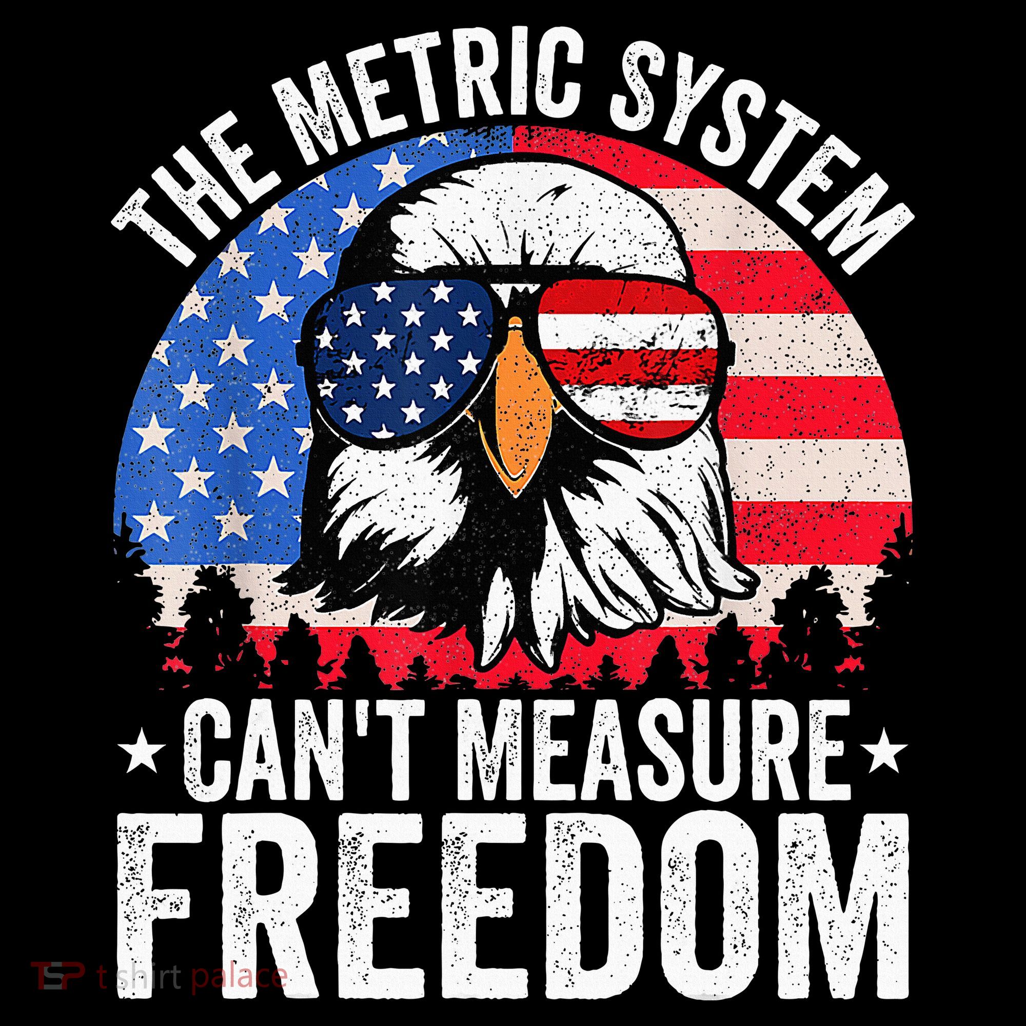 The Metric System CanT Measure Freedom Eagle 4th Of July Women's Hoodie