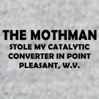 The Mothman Stole My Catalytic Converter The Baniff Cuffed Pom Beanie thumb 2