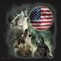 The Mountain Three Wolfs American Flag Moons Coaster thumb 2