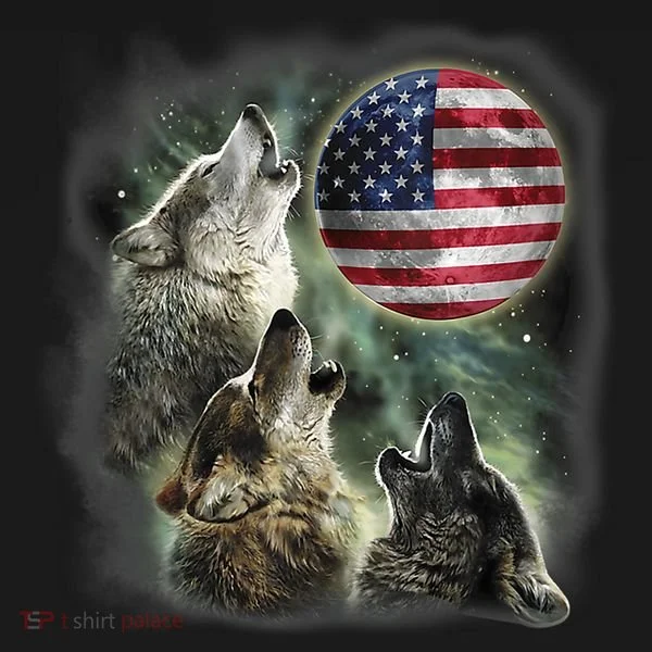 The Mountain Three Wolfs American Flag Moons Coaster