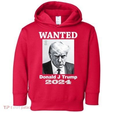 Trump Mugshot Toddler Hoodie