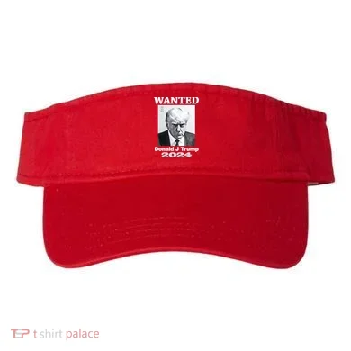 Visor