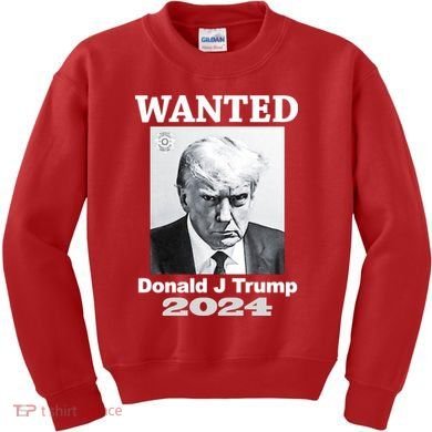 Trump Mugshot Kids Sweatshirt