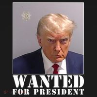 Trump Mugshot Wanted For President Women's Hoodie thumb 2