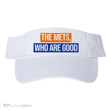 Visor