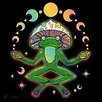 Trippy Meditating Yoga Mushroom Frog Toad Ornament thumb 1