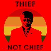 Thief Not Chief Funny Anti Joe Biden Santa Hat thumb 1