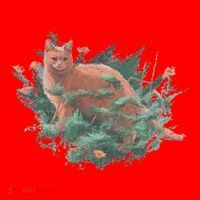 Threadless Nate Christenson Impressionist Cat Santa Hat thumb 1