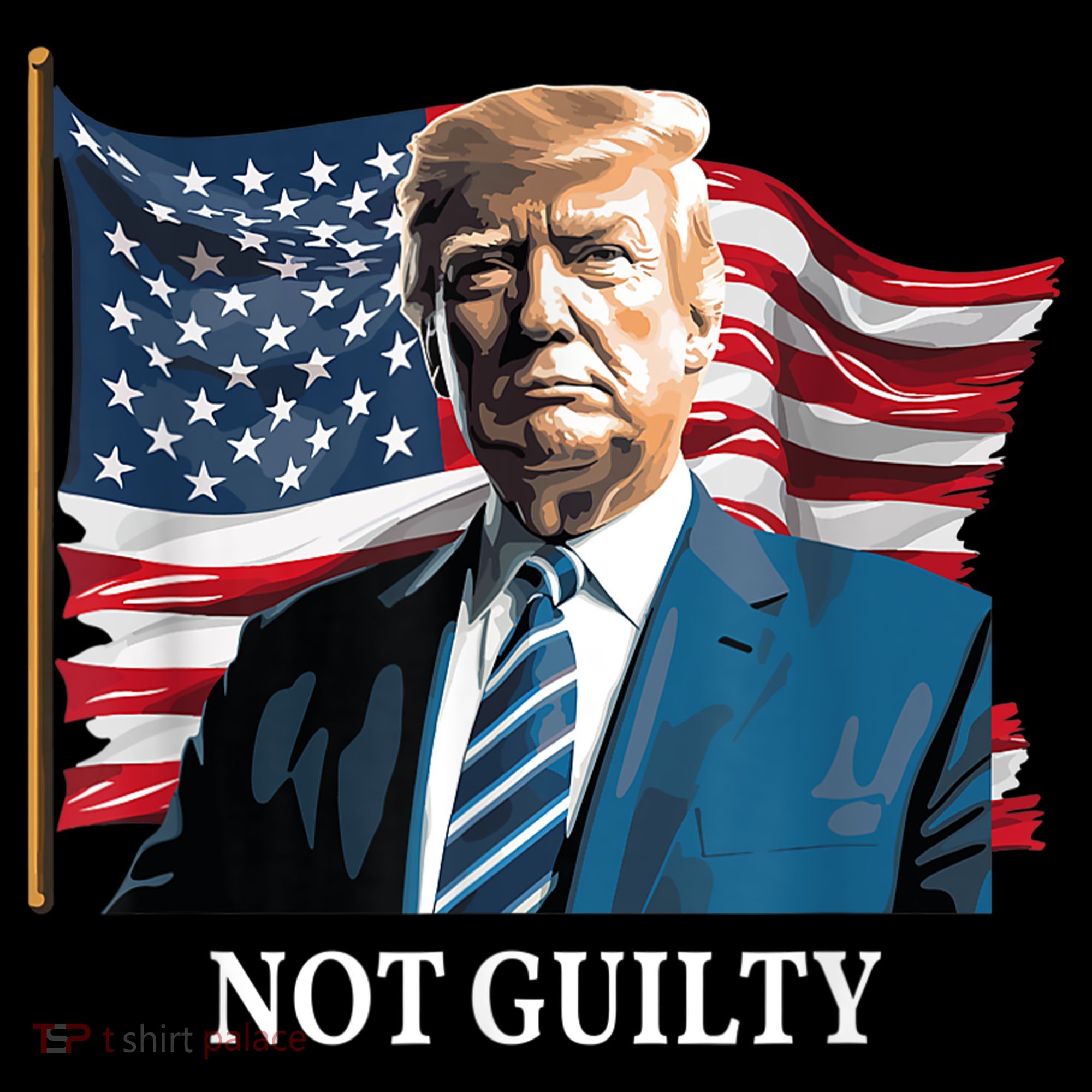 Trump Not Guilty Women's Hoodie