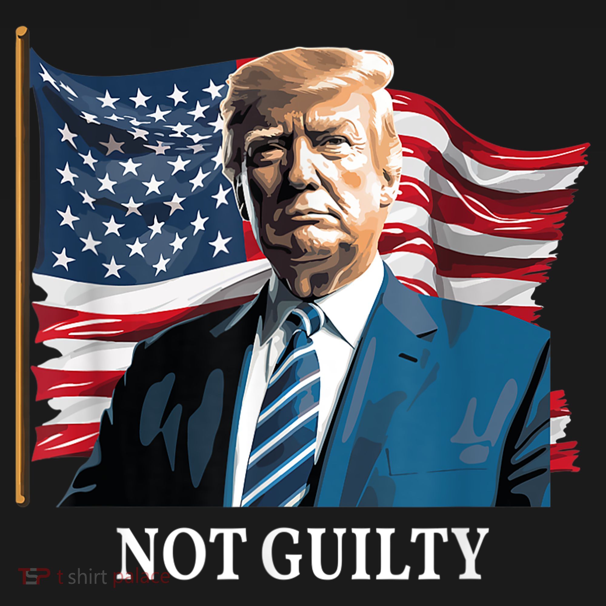 Trump Not Guilty Kids Sweatshirt
