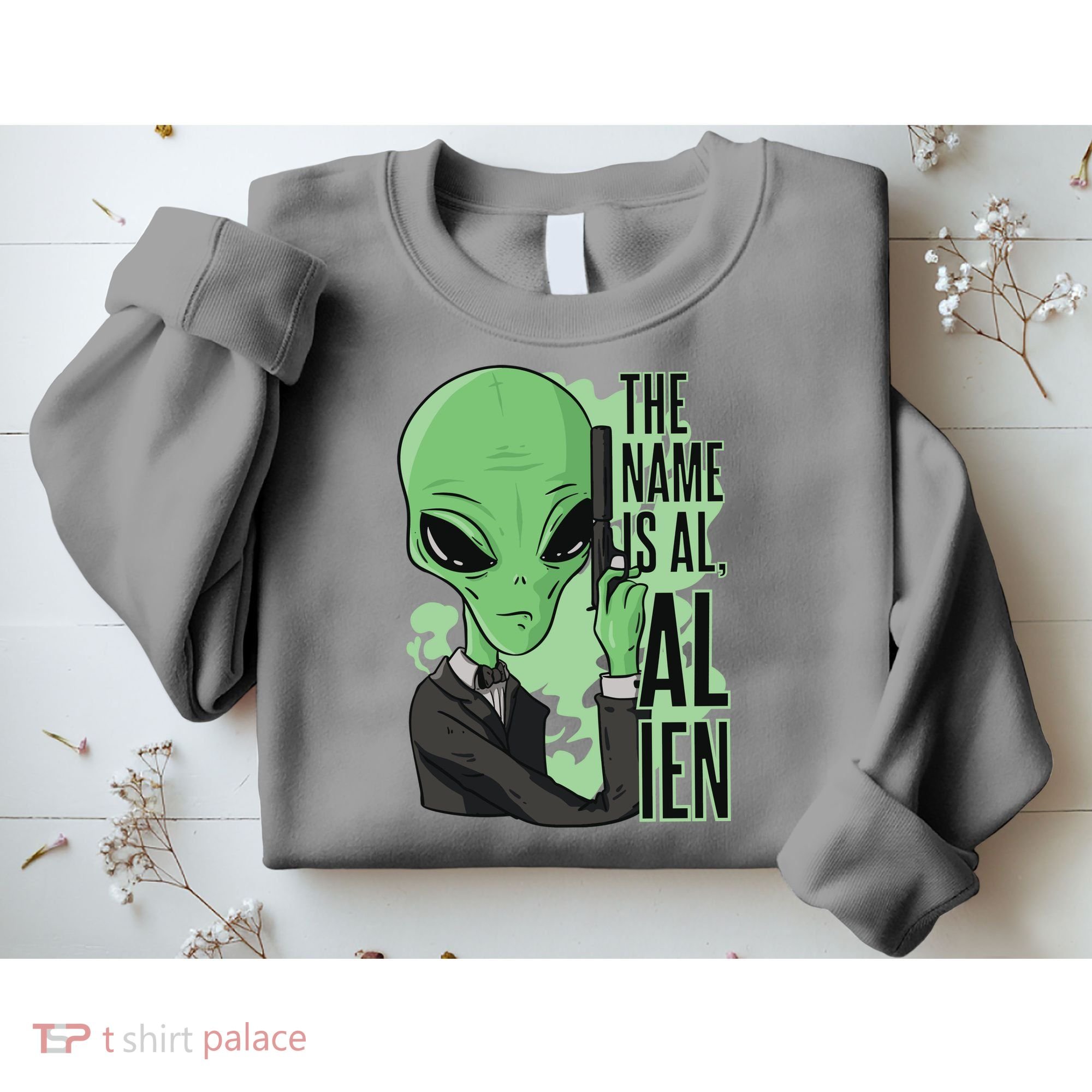 The Name Is Alien Funny Spy Cartoon Sweatshirt