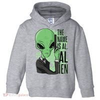 The Name Is Alien Funny Spy Cartoon Toddler Hoodie thumb 0