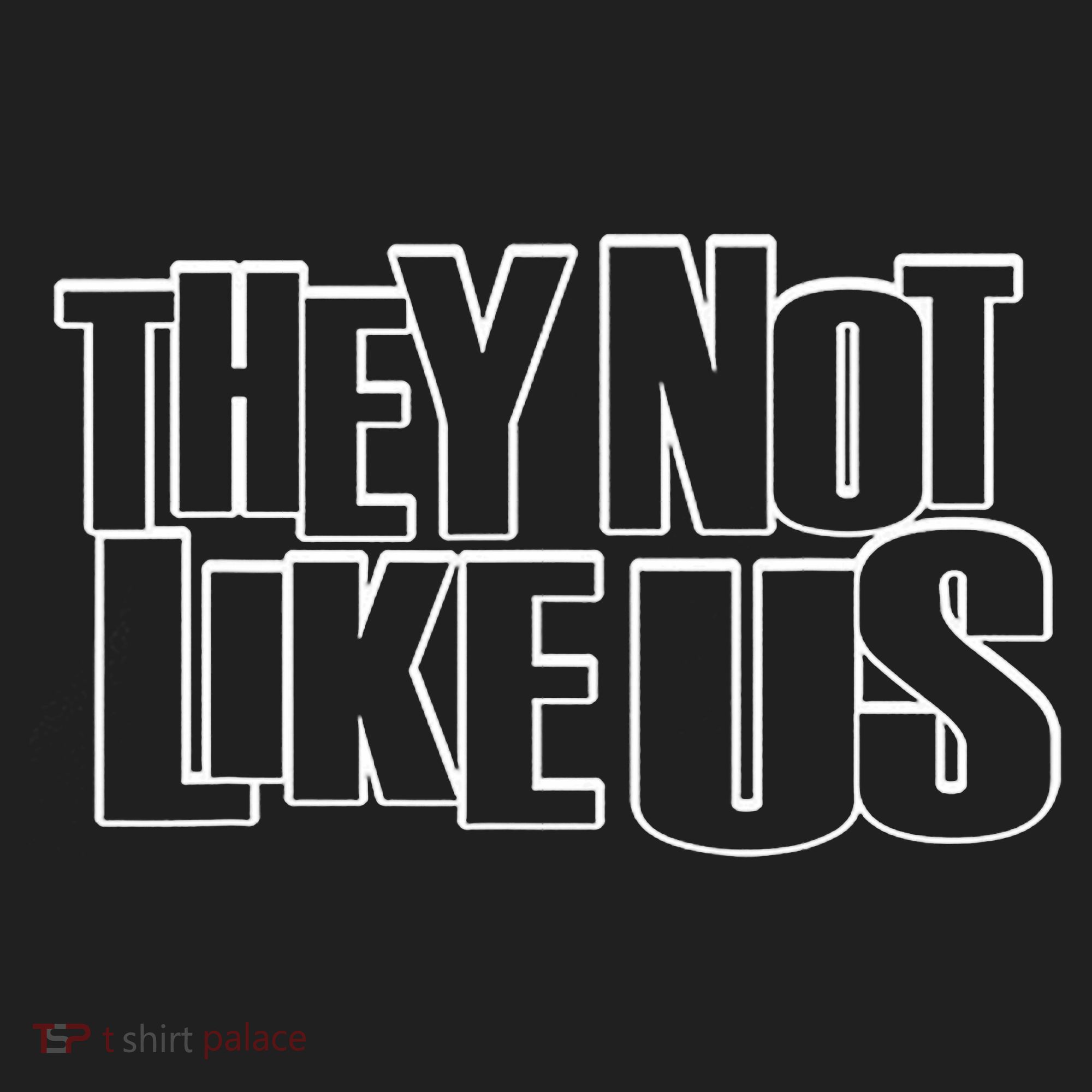 They Not Like Us Hat