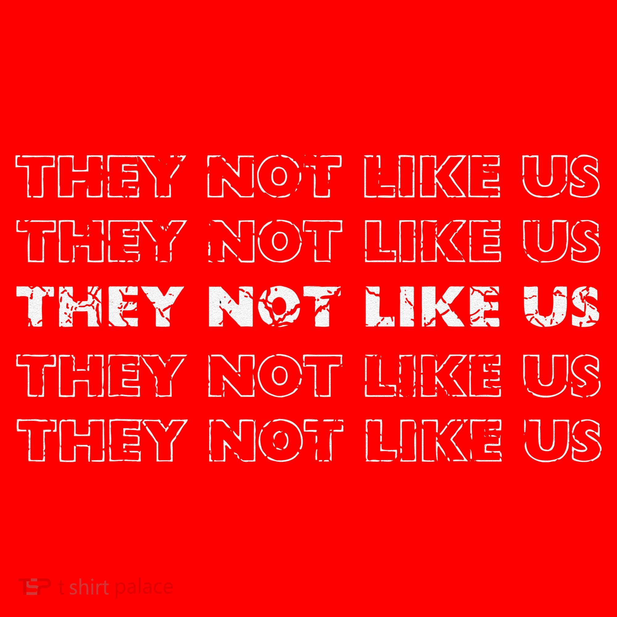 They Not Like Us Gift Santa Hat