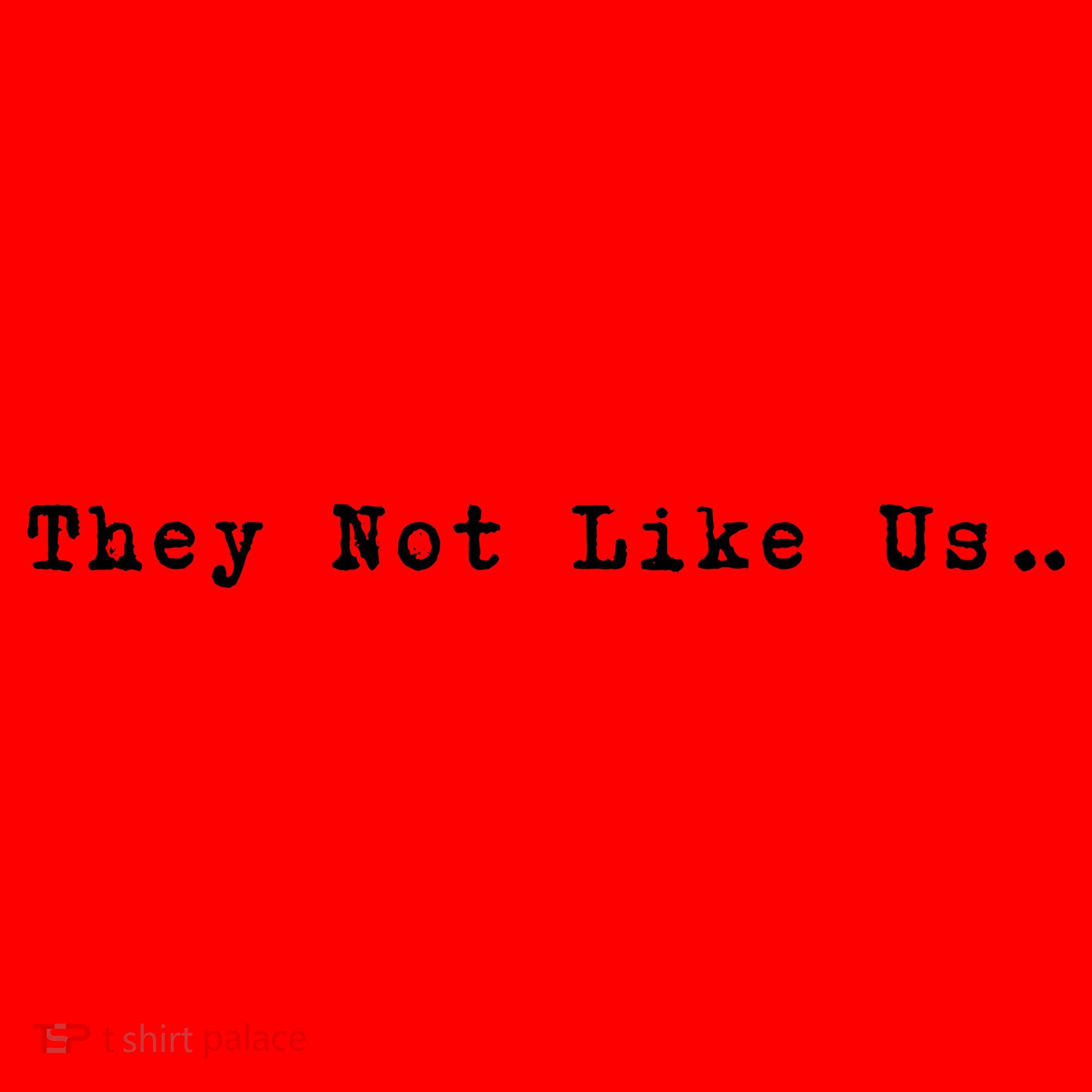 They Not Like Us Santa Hat