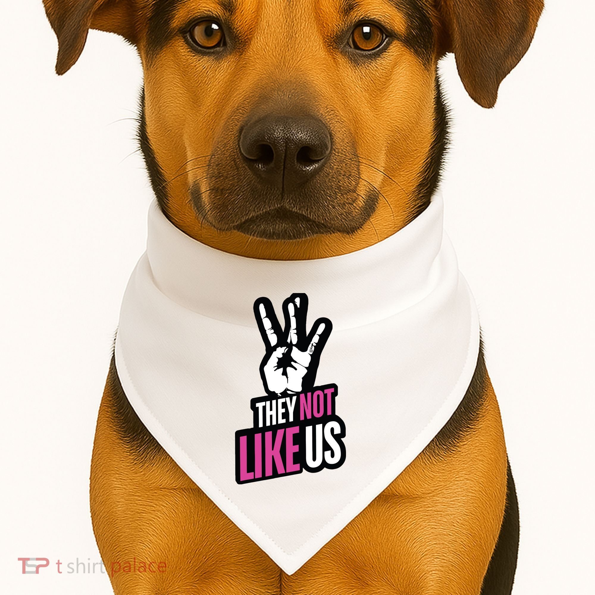 They Not Like Us USA-Made Doggie Bandana