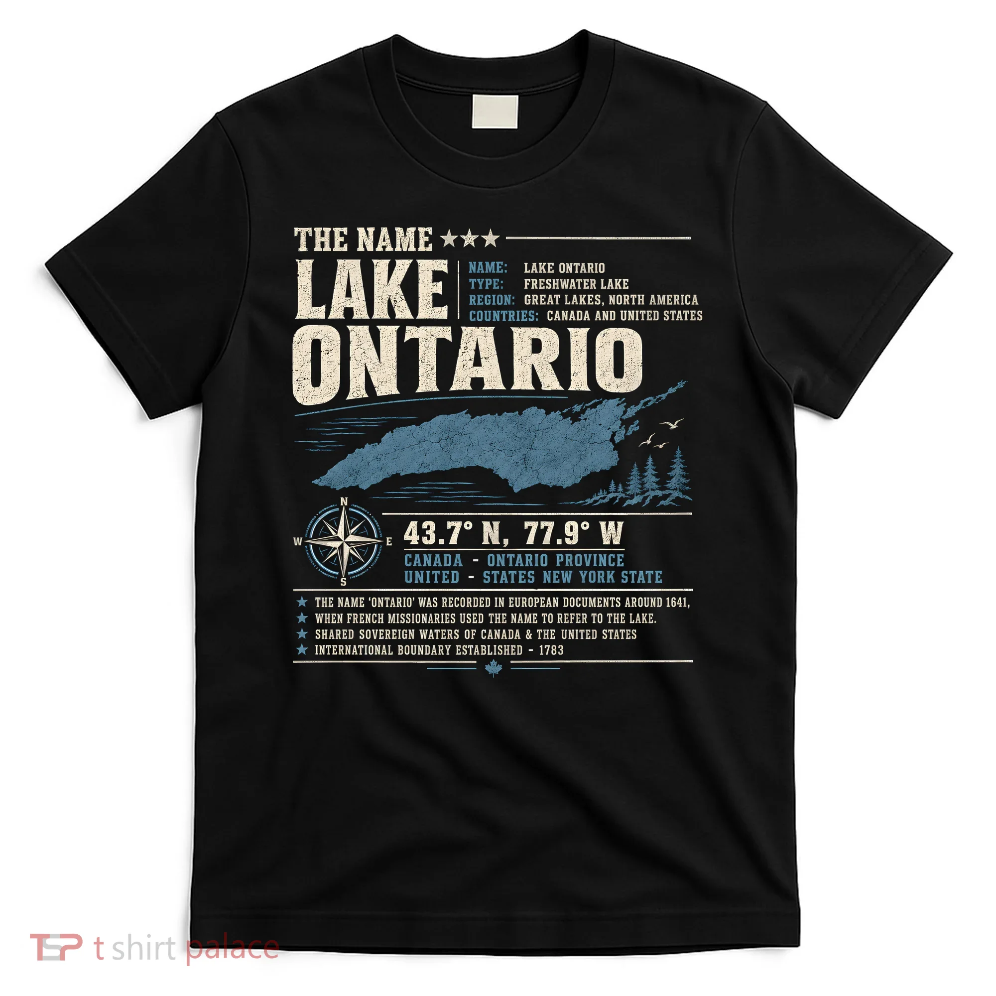 The Name Lake Ontario Coordinates T-Shirt